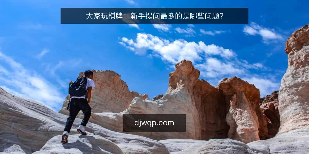 大家玩棋牌：新手提问最多的是哪些问题？ — 新手入局前要确认哪些基本规则？ 配图