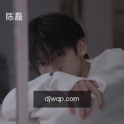 陈磊